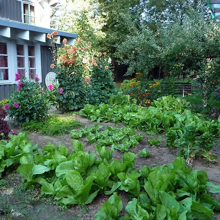 Gartenlust * Dierdorf