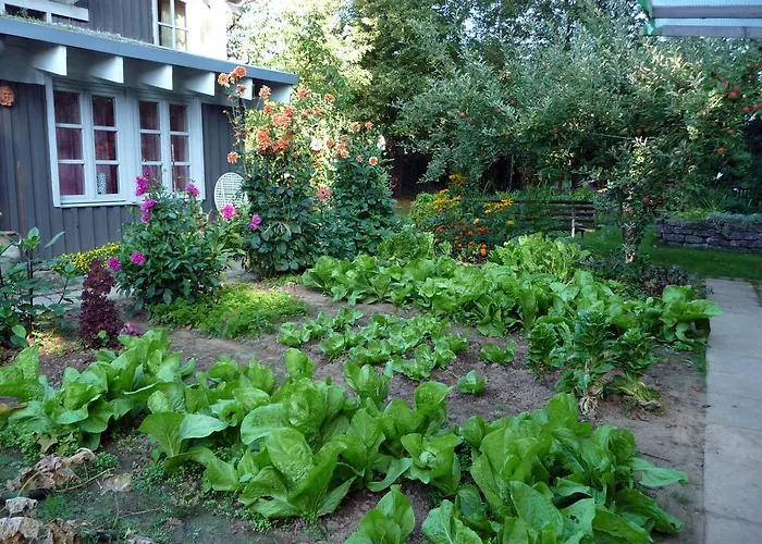 Gartenlust * Dierdorf