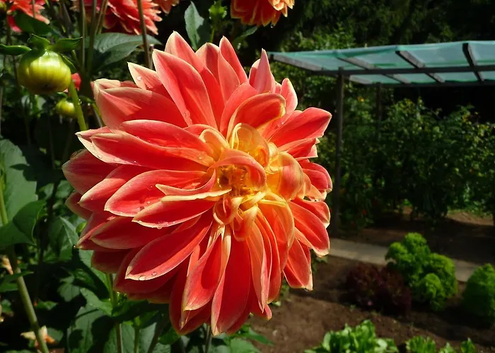 בית נופש Gartenlust *